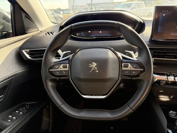 Image véhicule  Peugeot 3008 (17)