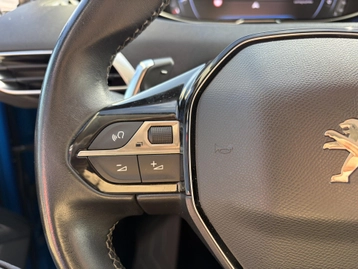 Image véhicule  Peugeot 3008 (19)