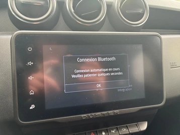 Image véhicule  Dacia DUSTER (21)