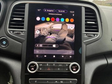 Image véhicule  Renault MEGANE (36)