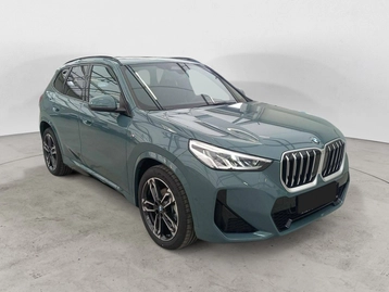 Image véhicule  BMW X1 (7)