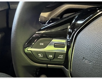 Image véhicule  Peugeot 308 SW (17)