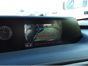 Image véhicule  Lexus UX (13)