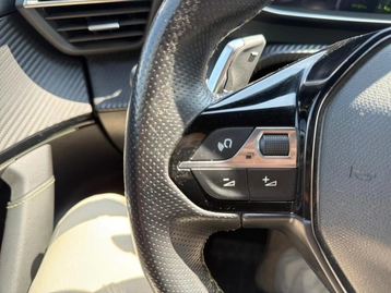 Image véhicule  Peugeot 2008 (20)