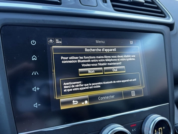 Image véhicule  Renault KADJAR (19)