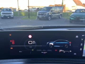 Image véhicule  Peugeot 3008 (29)