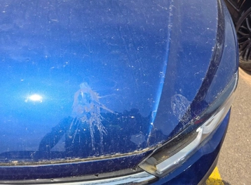 Image véhicule  Volkswagen POLO (22)