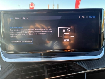 Image véhicule  Peugeot 2008 (26)