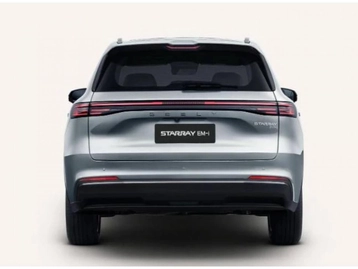 Image véhicule  GEELY STARRAY EM-I (1)