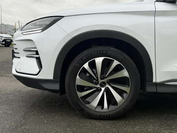 Image véhicule  Renault AUSTRAL (40)