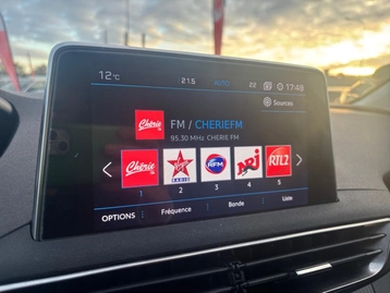 Image véhicule  Peugeot 3008 (22)