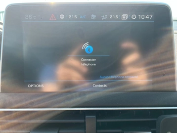 Image véhicule  Peugeot 3008 (31)