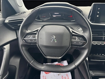 Image véhicule  Peugeot 2008 (16)