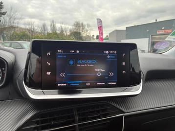 Image véhicule  Peugeot 2008 (24)