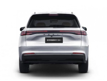Image véhicule  GEELY STARRAY EM-I (3)