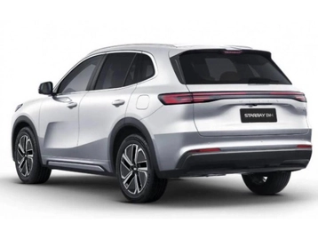 Image véhicule  GEELY STARRAY EM-I (4)