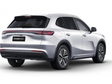Image véhicule  GEELY STARRAY EM-I (5)