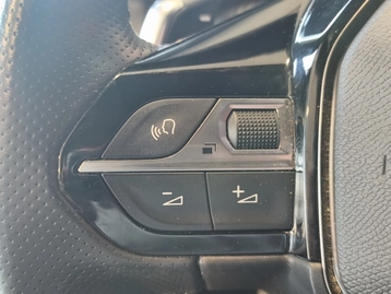 Image véhicule  Peugeot 2008 (19)