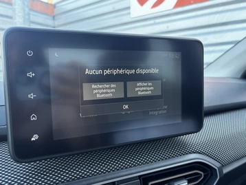 Image véhicule  Dacia Sandero Stepway (3) (21)