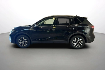 Image véhicule  Volkswagen TIGUAN (10)