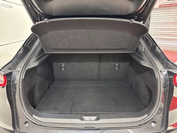 Image véhicule  Mazda CX-30 2021 (31)