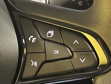 Image véhicule  Renault TRAFIC (29)