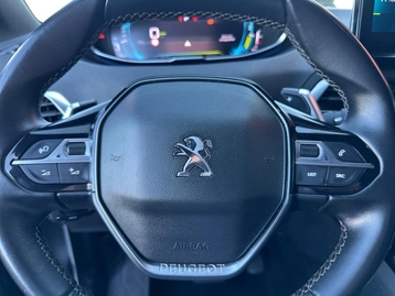 Image véhicule  Peugeot 3008 (31)