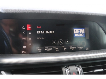 Image véhicule  Alfa Romeo STELVIO (31)