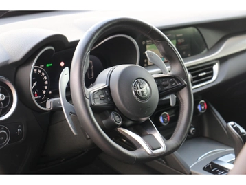 Image véhicule  Alfa Romeo STELVIO (18)