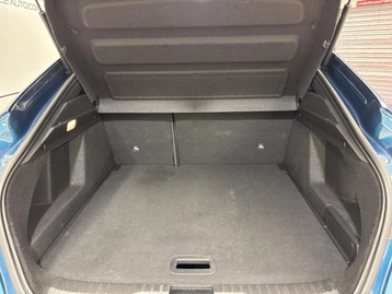 Image véhicule  Renault ARKANA (29)