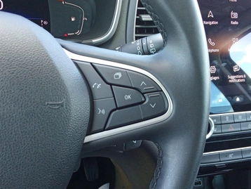 Image véhicule  Renault MEGANE (29)