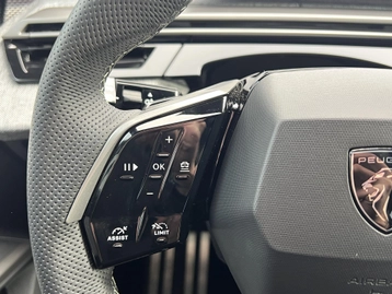 Image véhicule  Peugeot 3008 (30)