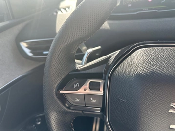 Image véhicule  Peugeot 3008 (29)