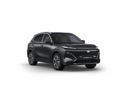 Image véhicule GEELY STARRAY EM-I