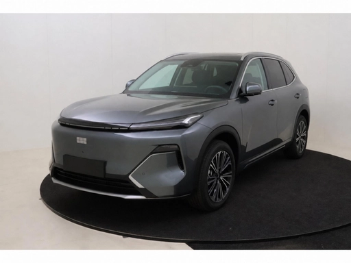 Image véhicule GEELY STARRAY EM-I