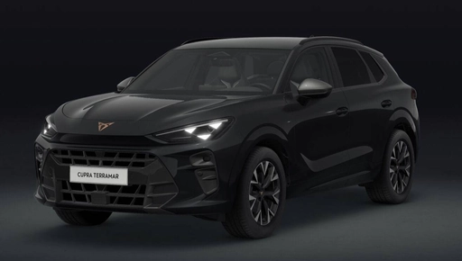 Image véhicule Cupra TERRAMAR
