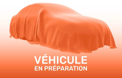 Image véhicule Renault TRAFIC