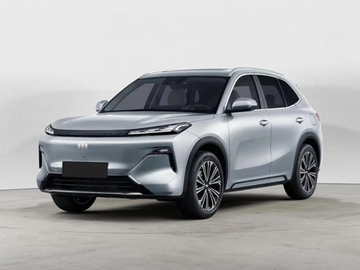 Image véhicule GEELY STARRAY EM-I