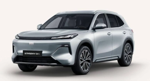 Image véhicule GEELY STARRAY