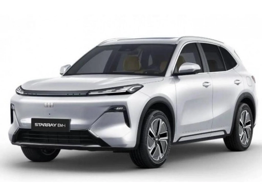Image véhicule GEELY STARRAY EM-I