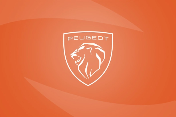 28_VPN_Peugeot.jpg